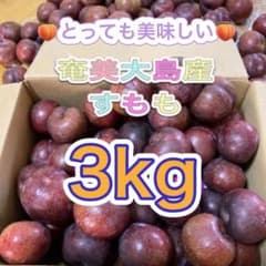 採れたて新鮮♪ 奄美大島産 すもも 3kgのサムネイル