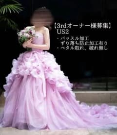 verawang】ピンクヘイリー US2 バッスル加工有/真空保管 - メルカリ