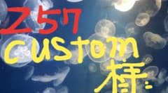 257custom様専用のサムネイル