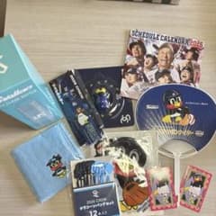 スワローズ&つば九郎&つばみグッズセット10点のサムネイル