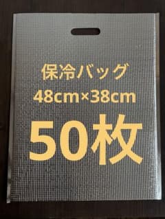 アルミ製 保冷バッグ 手提げタイプのサムネイル