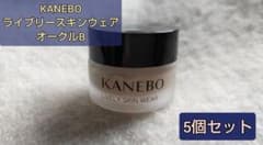 Bộ 5 [Giao hàng trong ngày] Quần áo da KANEBO Lively Ocher - 4