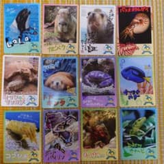 鳥羽水族館　コレクションカード 鳥羽水族館コレクションカード バラ売り1枚100円〜 - メルカリ