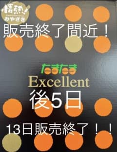 宮崎県産完熟キンカンたまたまエクセレント3Lのサムネイル