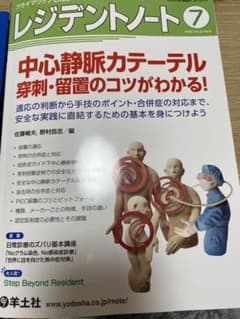専用　　レジデントノート⑦のサムネイル