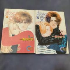 Thumbnail of 恋のめまい愛の傷 1巻 2巻 一条ゆかり