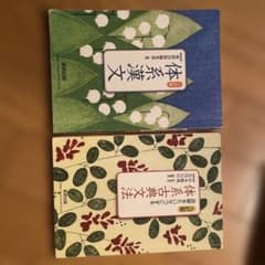 体系漢文、体系古典文法2冊セットのサムネイル