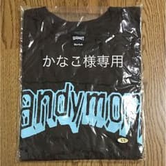 かなこ様専用 andymori Tシャツのサムネイル