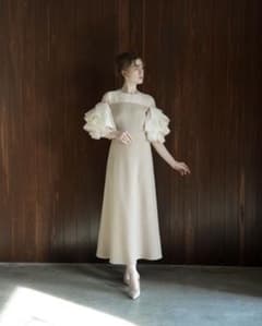 acka organdy frill dress size1 - メルカリ