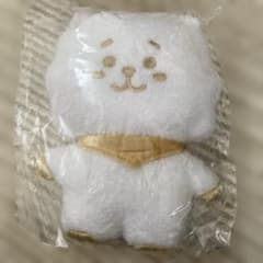 BT21 BASIC 반짝반짝 푹신한 S RJ