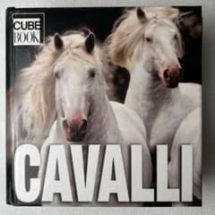 【希少・貴重】イタリア語版　世界中の馬の写真集　CUBE BOOK インテリア 希少・貴重】イタリア語版 世界中の馬の写真集 CUBE BOOK インテリア