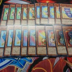 遊戯王 ファーニマル デッキのサムネイル