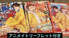 てぺとる！　アニメイトリーフレット付き　コミック　商業BLのサムネイル