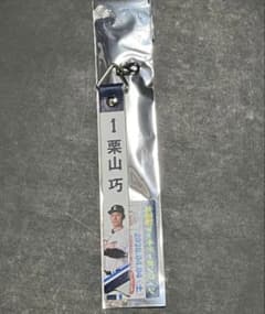 사이타마 세이부 라이온스 매치 데이 핀 쿠리야마 교 2026.4/4