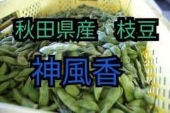 枝豆　2キロのサムネイル