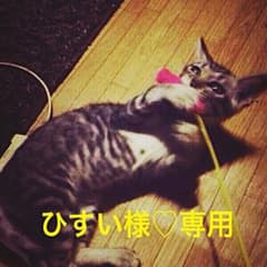 ひすい様♡専用のサムネイル