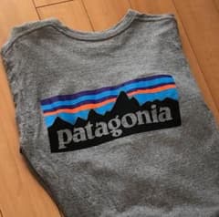 パタゴニア ロンTのサムネイル