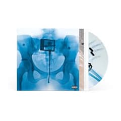 新品 サイン入り Lorde / Virgin ピクチャーディスク LP - メルカリ