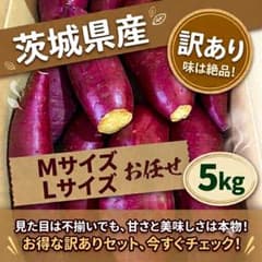 茨城県産さつまいも5kg　紅はるか　MサイズLサイズお任せ　訳ありのサムネイル