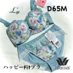 ワコール ルジェ ハッピーFitブラ イギリスの宮殿D65M - メルカリ