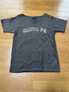 BEAMS HEART ロゴTシャツ