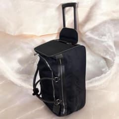 ルイヴィトン エオール50 ダミエジェアン M93551 2輪 キャリーケース ルイヴィトン エオール50 ダミエジェアン M93551 2輪 キャリーケース