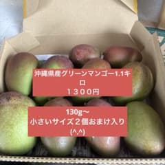 沖縄産摘果マンゴー　1、1キロのサムネイル