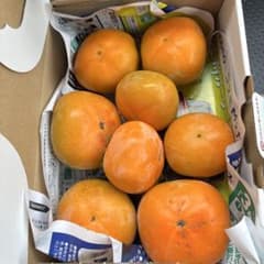 柿　刀根早生　約1キロ　ご家庭用　個数は変動　タイムセールのサムネイル