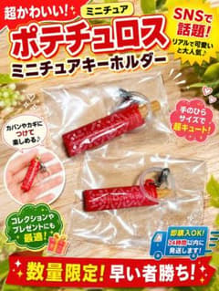 ポテチュロス ミニチュアキーホルダー　2個のサムネイル