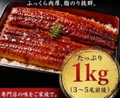 【破格!!5尾】ご褒美うなぎ 1kg (5尾)冷凍　ご馳走鰻 破格!!5尾】ご褒美うなぎ 1kg (5尾)冷凍 ご馳走鰻 - メルカリ