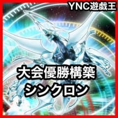 大会優勝構築 シンクロン デッキ ジャンクマイスター スタージャンクシンクロン 大会優勝構築 シンクロン デッキ ジャンクマイスター スタージャンク