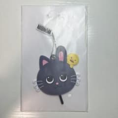 公式 RIIZE ウォンビン ミ二うちわキーホルダー 未開封 - メルカリ