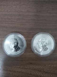 2026 カナダメイプルリーフ銀貨 1オンス 2枚セット - メルカリ