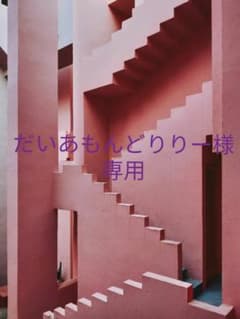 だいあもんどりりー様専用　CARE PRO　ケアプロ超音波アイロンのサムネイル