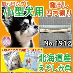 小型犬用 エゾ鹿の角 根元 ロング4半割1本 北海道産 犬のおもちゃ