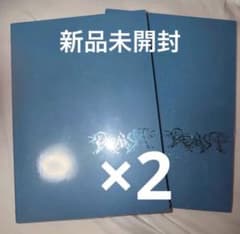 ALD1新品未開封アルバム 2冊 Cementic Nest ver. - メルカリ