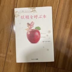 妖精を呼ぶ本 姫乃宮亜美 サンマーク出版のサムネイル