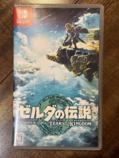 젤다의 전설 TEARS OF THE KINGDOM