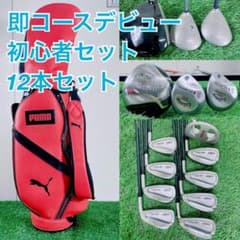 キャロウェイ入り！メンズゴルフ フルセット12本 即コースデビュー F3312 ゴルフクラブ フルセット キャロウェイ入り 初心者 メンズ 12本 G3912