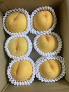 670.数量限定福島産 朝採り完熟黄金桃 マンゴーピーチ箱込み1.5kg家庭