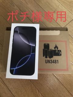 ポチ様専用 Apple iPhone  16Pro 256GB 新品未開封のサムネイル