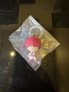 HUNTER × HUNTER 메지루시 액세서리 히소카