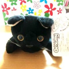 エレコムGroomy　ボンベイのサムネイル