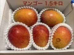 完熟マンゴー 1.5kg 詰め合わせ - メルカリ