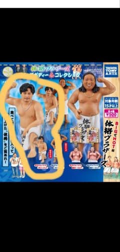 体格ブラザーズ ビッグボディーコレクション 平子さんBIGフィギュアのサムネイル