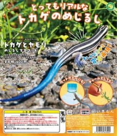 トカゲとヤモリ めじるしマスコット ニホントカゲ成体のサムネイル