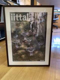 希少】 イッタラ ポスター 額付き 美品 iittala 北欧 フィンランド