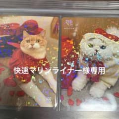 快速マリンライナー様専用のサムネイル