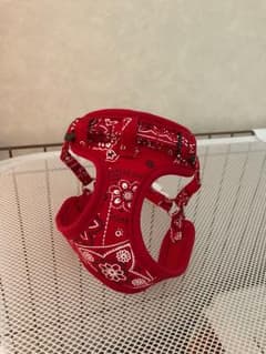 AND(sullivan_room)様専用 小型犬 ハーネスのサムネイル