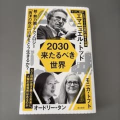 2030 来たるべき世界のサムネイル